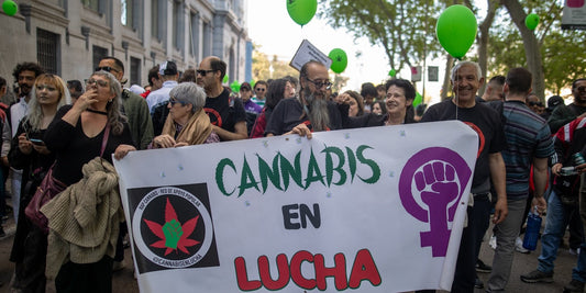 Spagna legalizza la cannabis medica, Italia la ostacola: due strade opposte per la salute dei pazienti