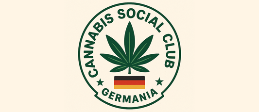 Oltre 290 Cannabis Social Club approvati in Germania: lo stato dell’arte