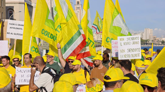 Canapa industriale, tra sequestri e paura: Coldiretti tace, i coltivatori finiscono sotto inchiesta