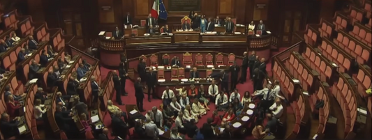 Ritorno al Fascismo: il DL Sicurezza diventa Legge
