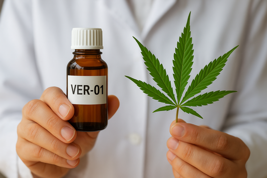 Dolore cronico e cannabis: perché VER-01 è già una svolta epocale