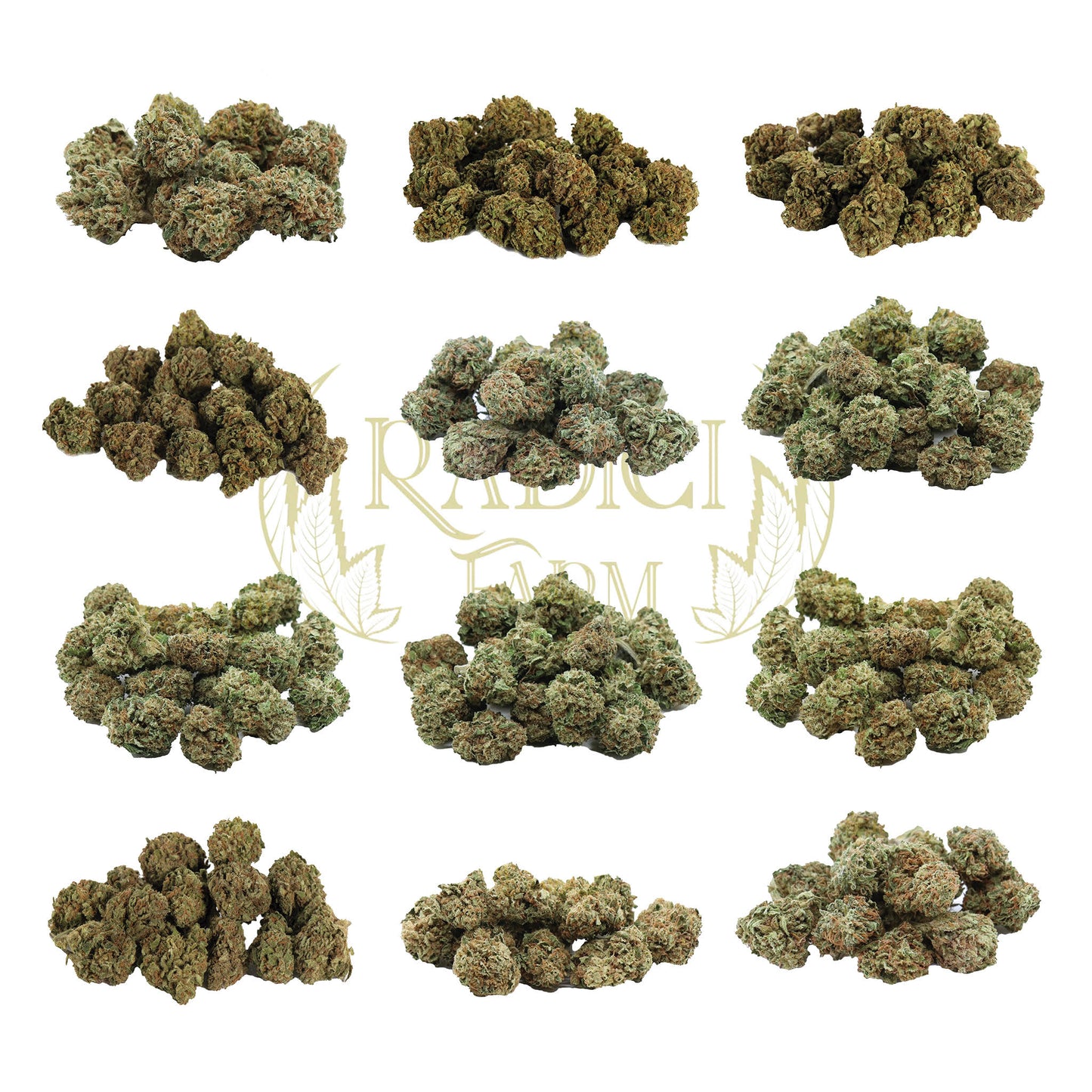 mini buds cannabis light
