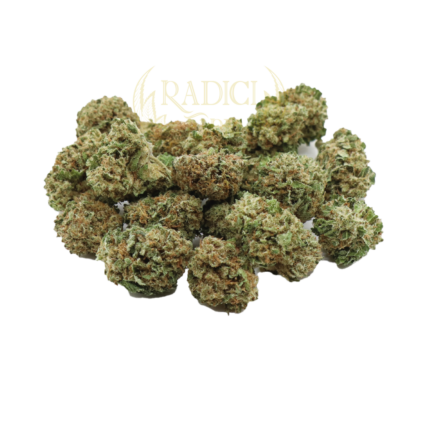 mini buds cannabis light