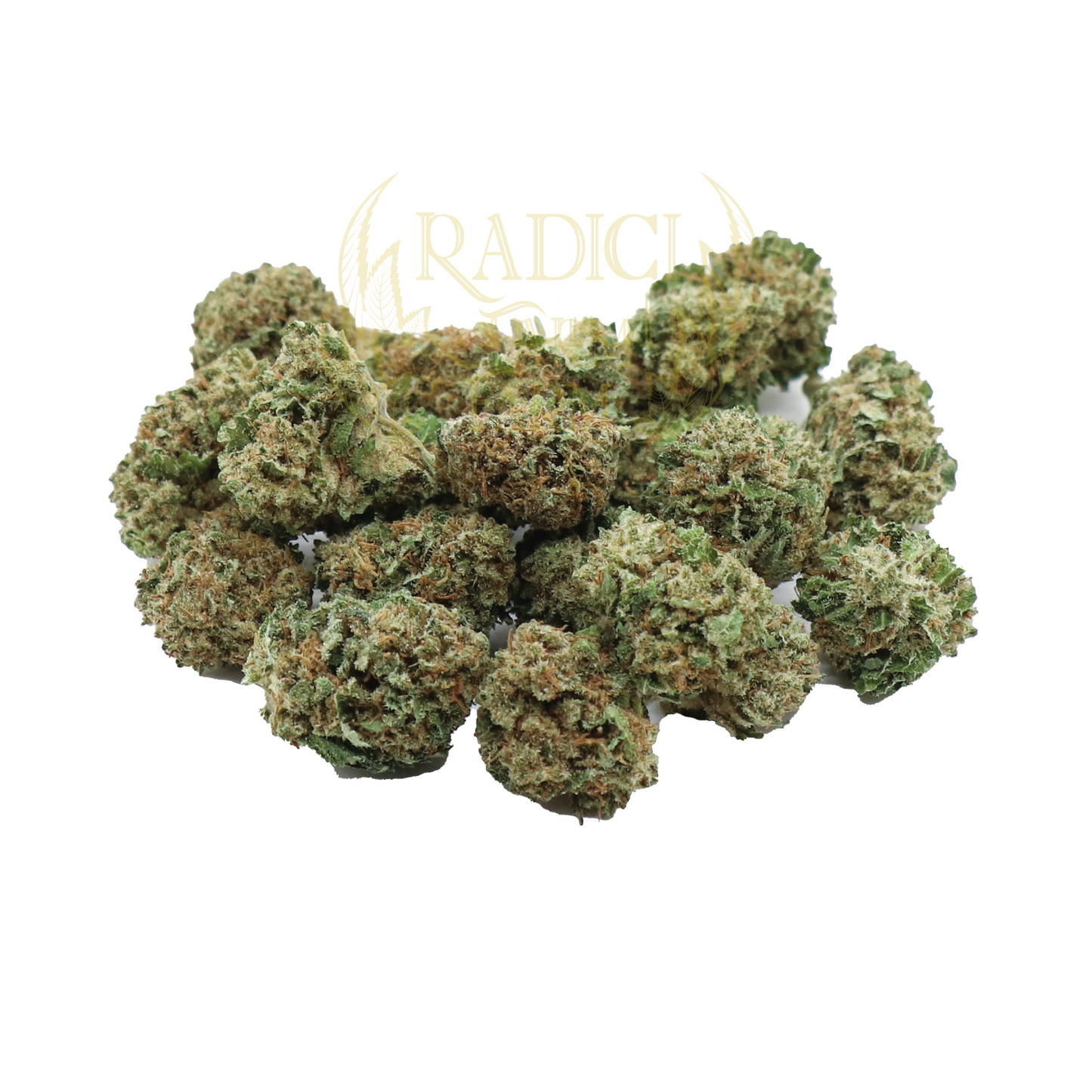 mini buds cannabis light