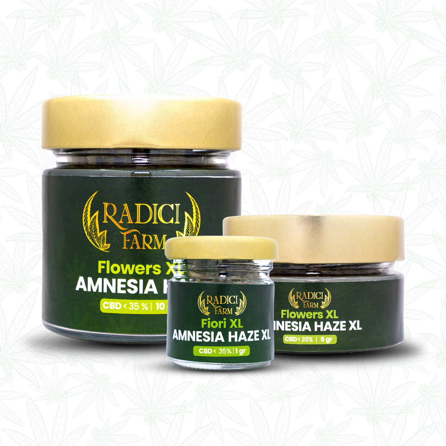 5 GR. AMNESIA HAZE XL (CBD<35%) - Radici Farm