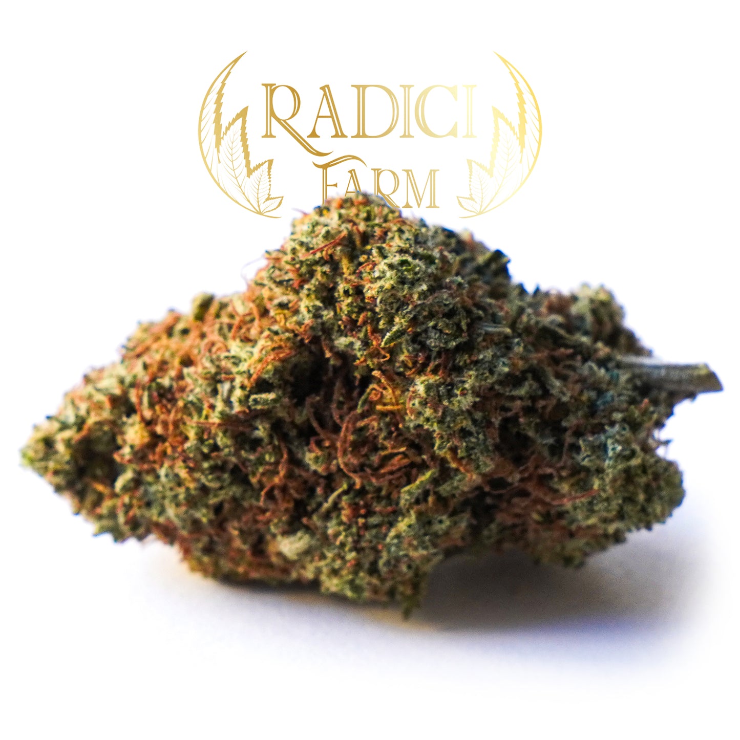 Amnesia Haze - Cannabis Light - Radici Farm