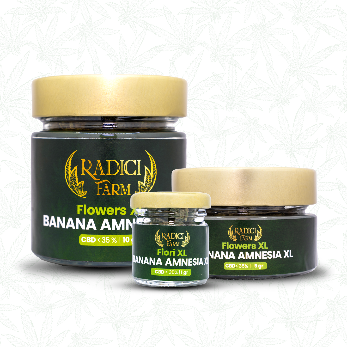 Fiori di Banana Amnesia XL - cannabis light legale