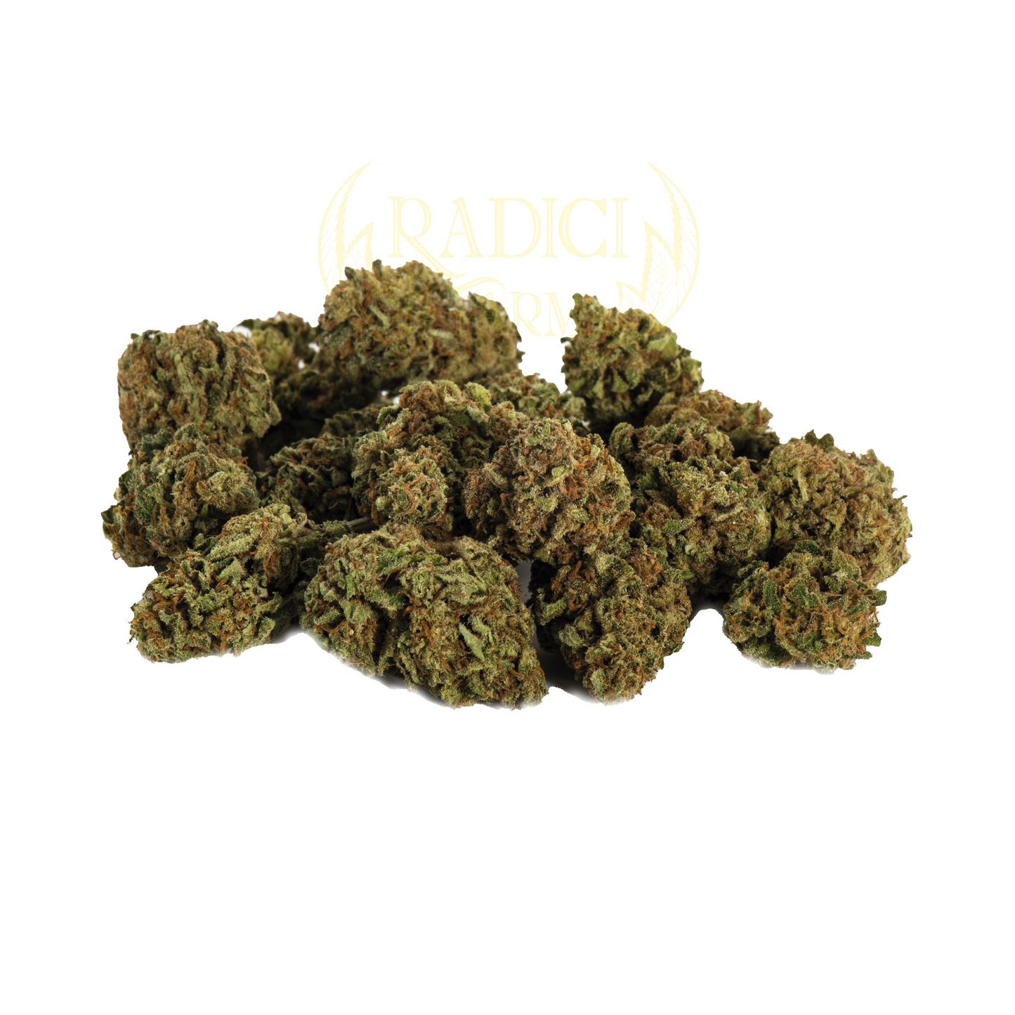 mini buds cannabis light