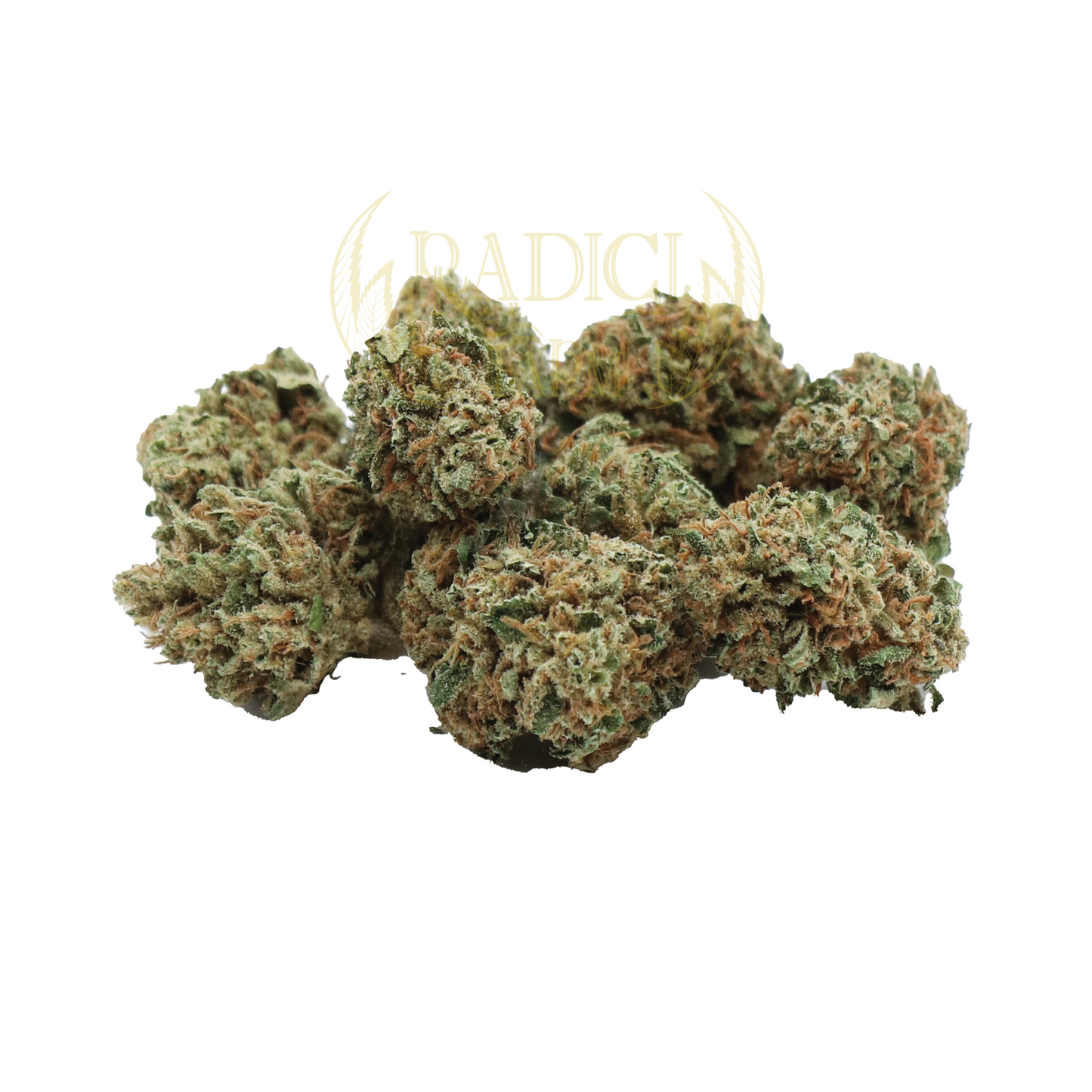 mini buds cannabis light