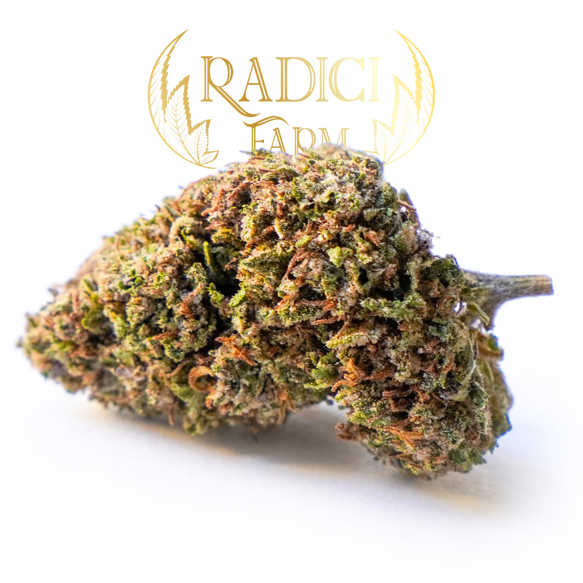 OG Kush - Cannabis Light - Radici Farm