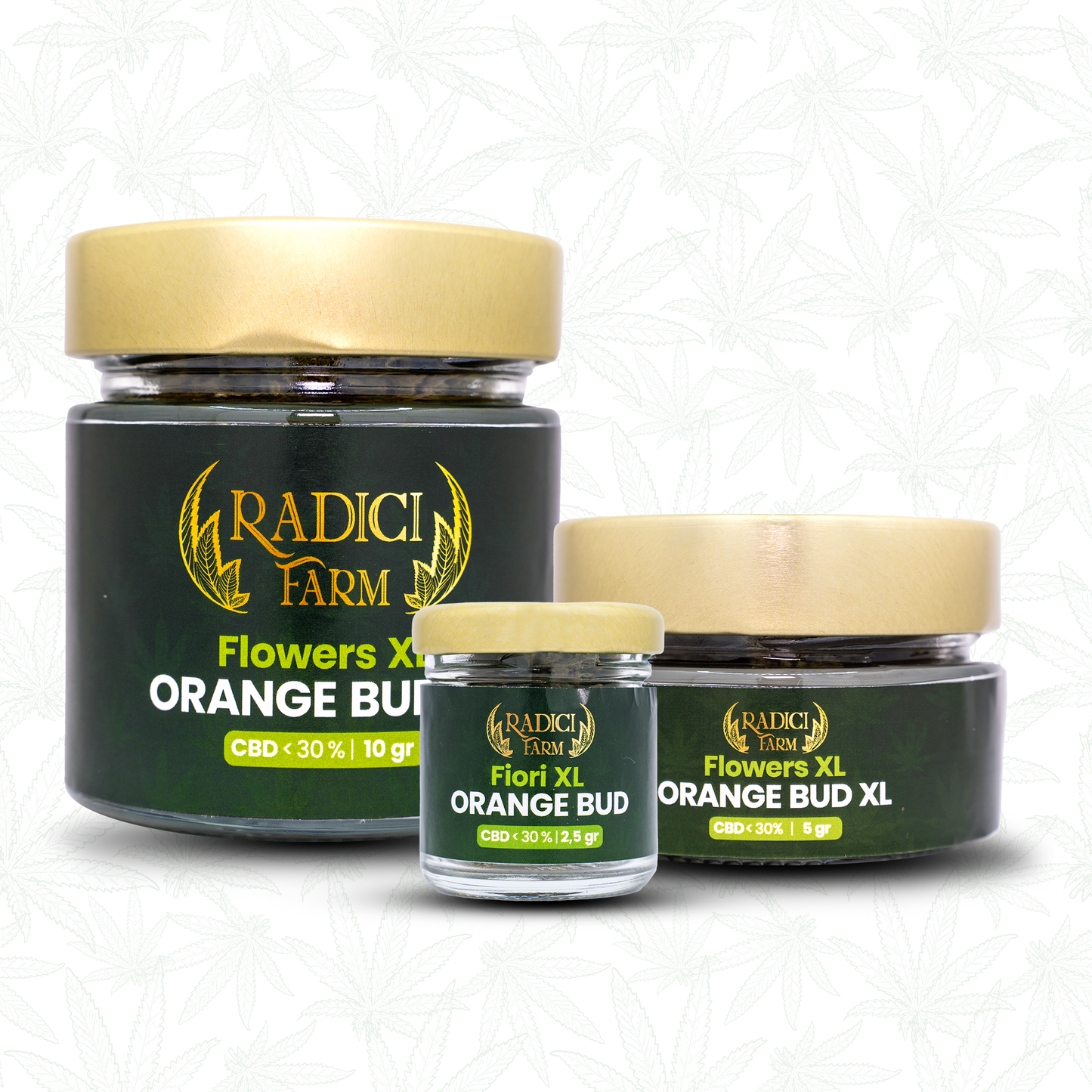 Fiori di Orange Bud XL cannabis light legale