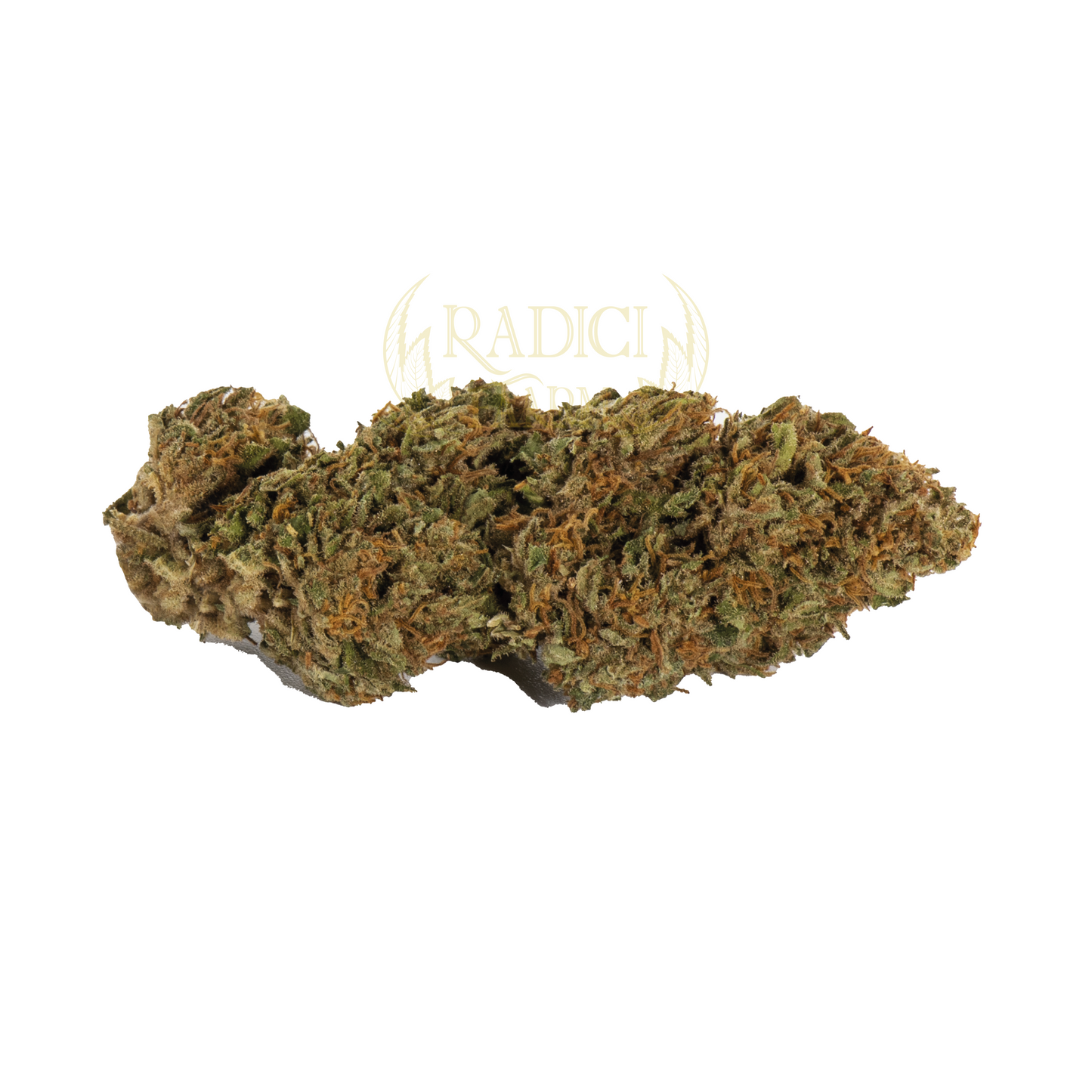 Fiori di Orange Bud XL cannabis light legale