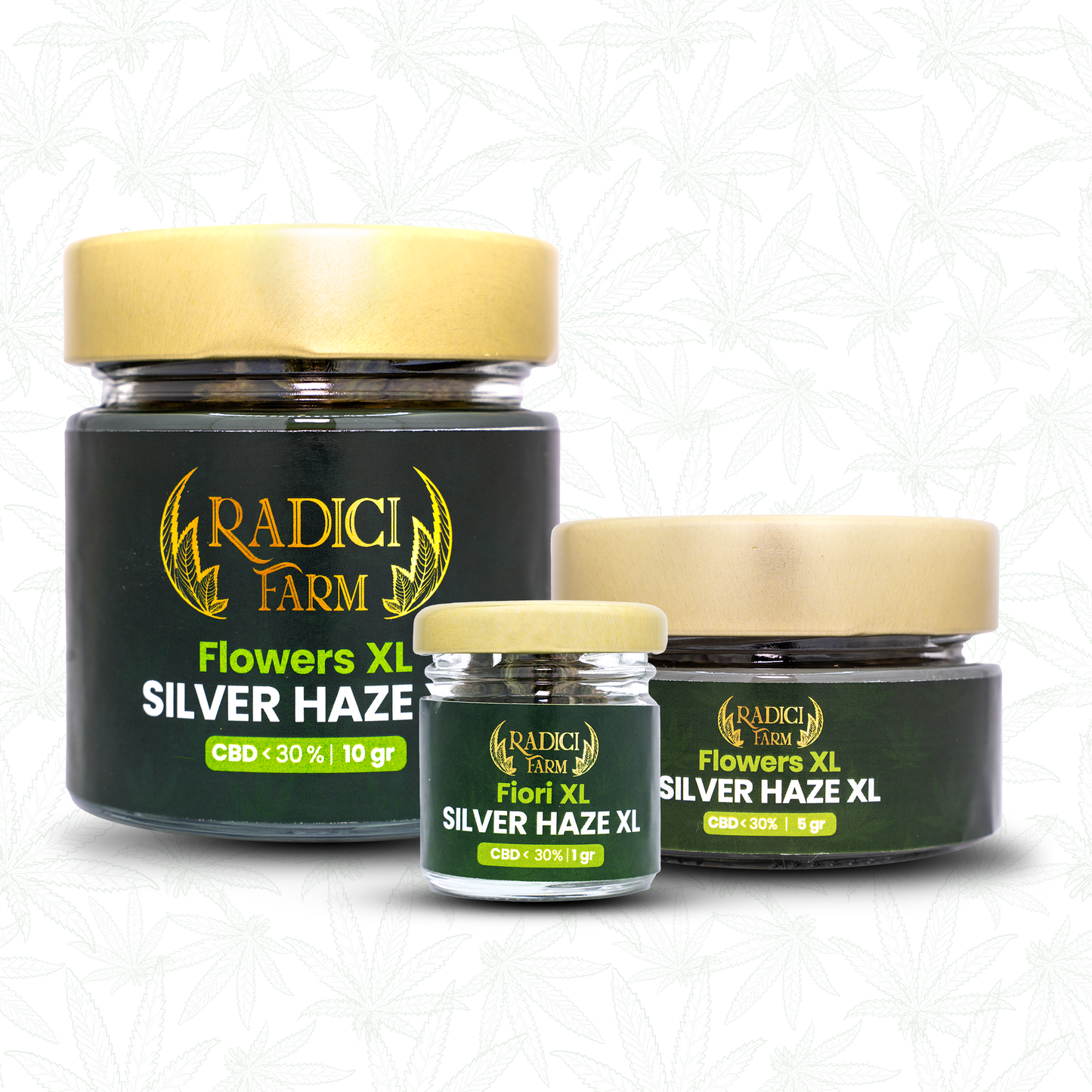 Fiori di Silver Haze XL cannabis light legale