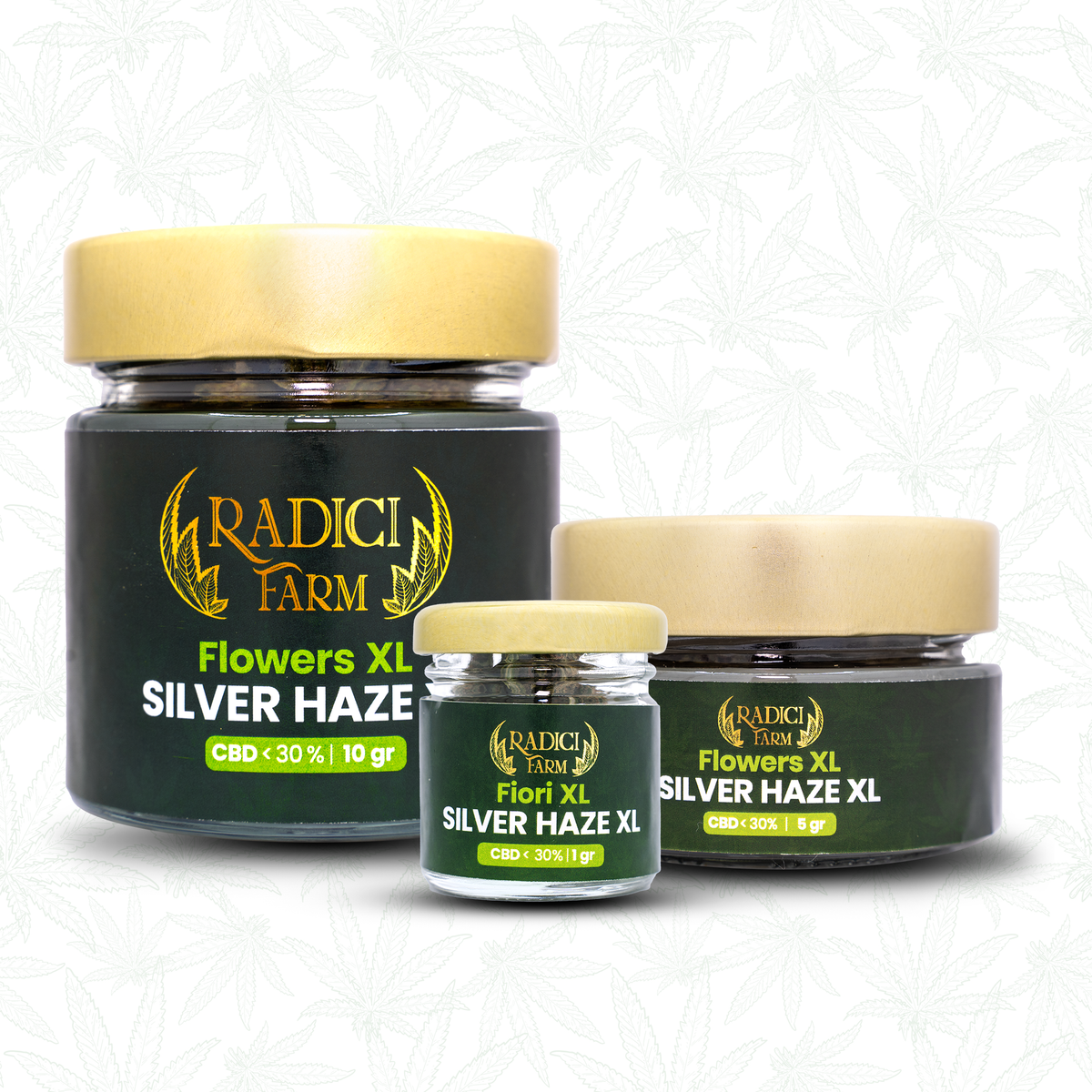 Fiori di Silver Haze XL cannabis light legale