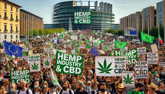 Protesta contro la normativa italiana su canapa e CBD, manifestazione a favore della canapa industriale