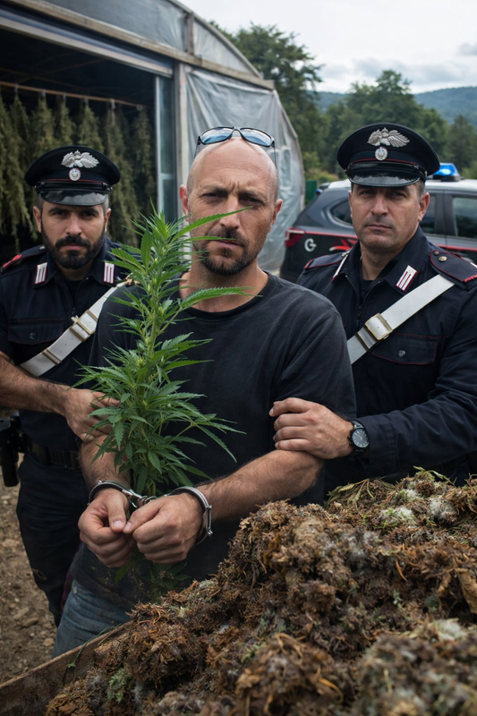 DA AGRICOLTORE A NARCO: La Storia di Curcio, come lo Stato può mettere fine al tuo futuro