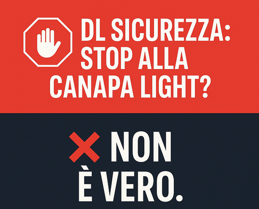 DL Sicurezza e canapa light: la vendita resta legale. Facciamo chiarezza