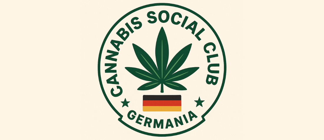Oltre 290 Cannabis Social Club approvati in Germania: lo stato dell’arte