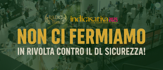 Non Ci Fermiamo: In Rivolta contro il DL Sicurezza