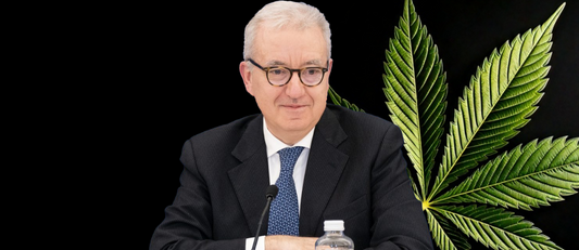 Alfredo Mantovano Cannabis
