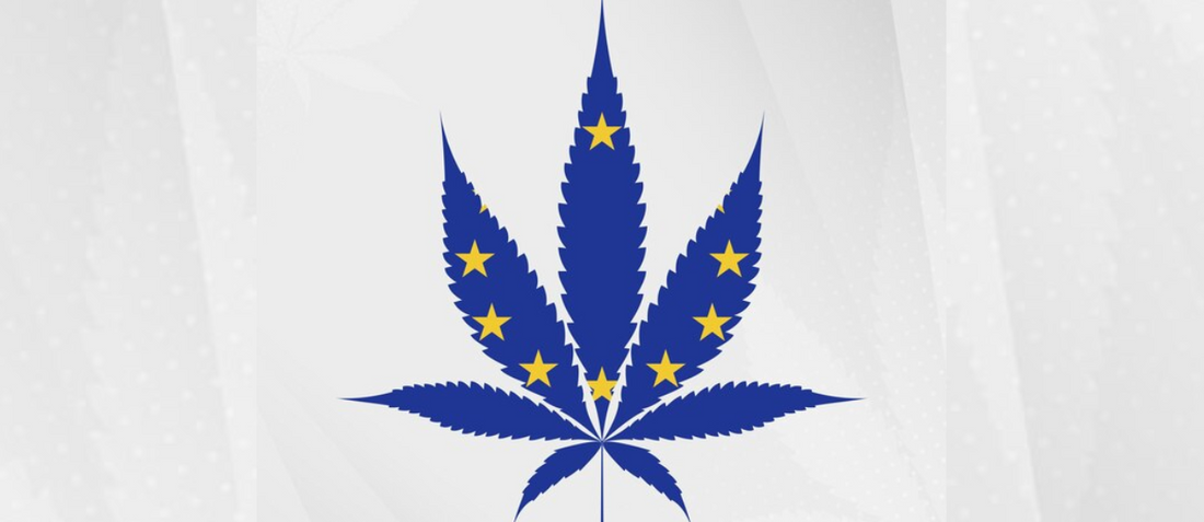 Canapa Light Criminalizzata: Il Decreto Sicurezza Italiano Minaccia Economia e Libertà