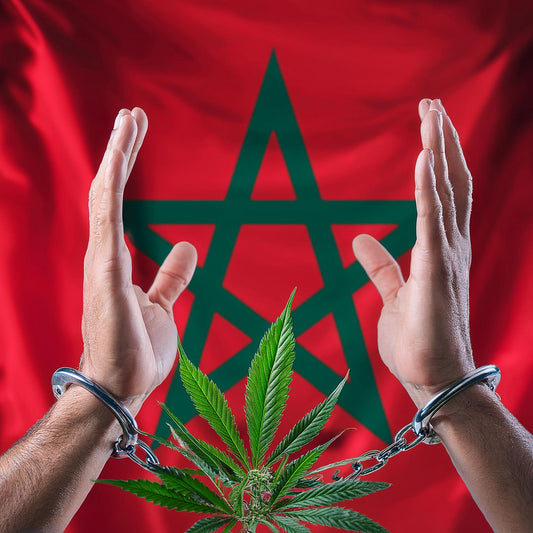 Il Marocco: Grazia per 5.000 Condannati per Cannabis
