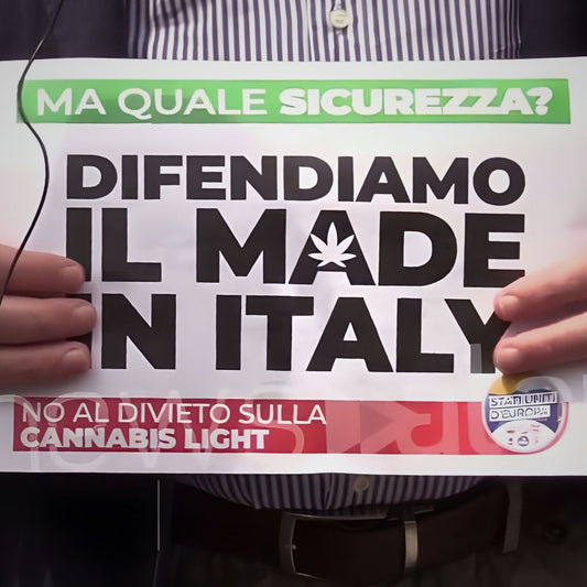 Cannabis light: Le assurdità imposte dal nostro governo