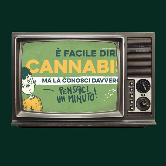 Antidroga RAI: la Cannabis non è come la dipinge la TV