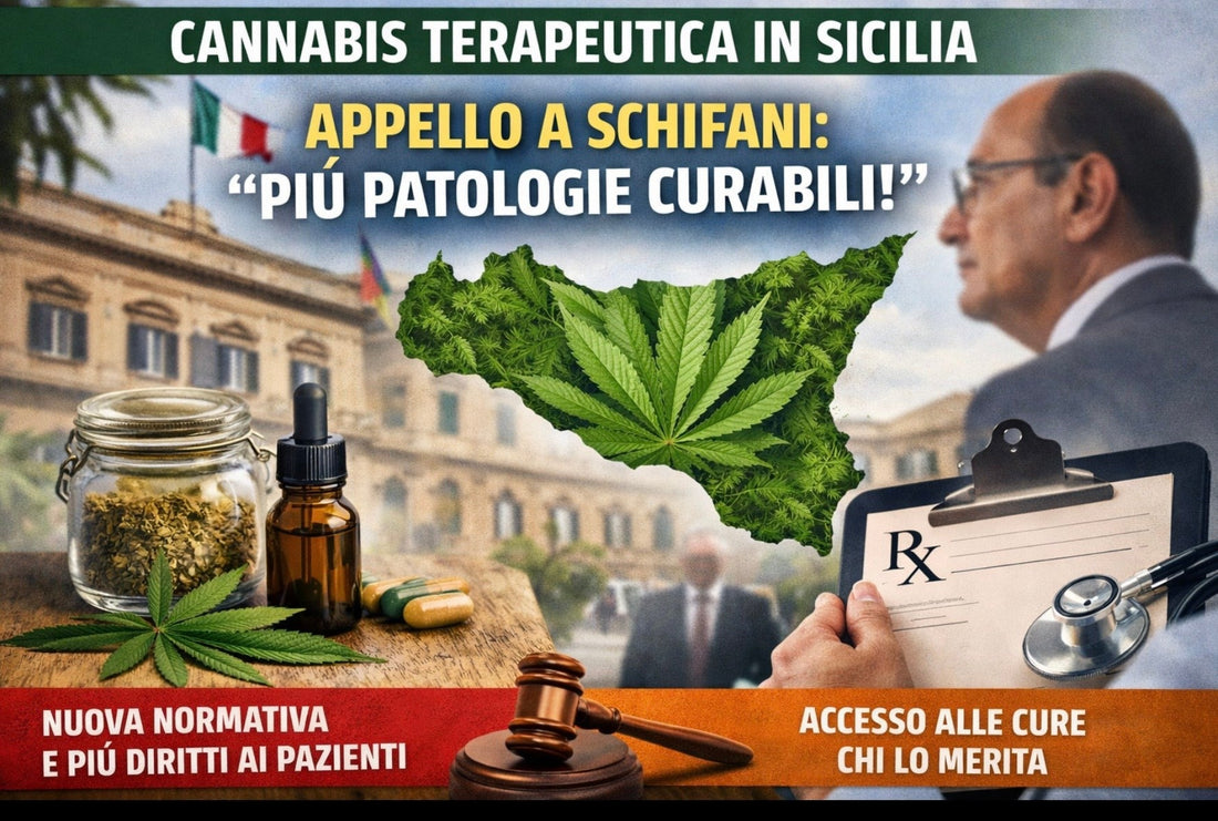 Più Patologie Curabili con Cannabis: Appello a Schifani per Ampliare le Patologie Curabili