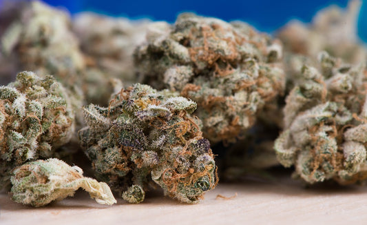 Fiore di cannabis