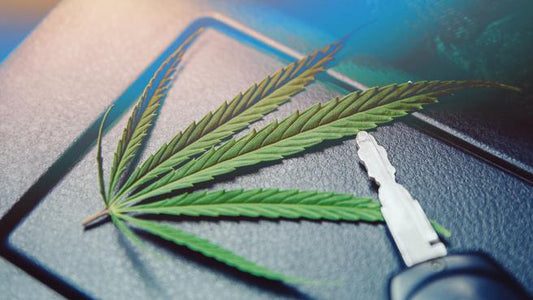 Cannabis Medica e Guida: Come Evitare Problemi con il Codice della Strada