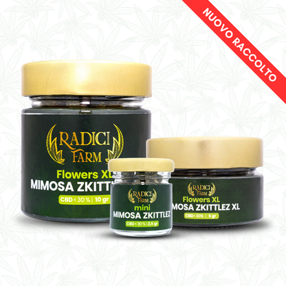 Fiori di Mimosa Zkittlez - cannabis light legale