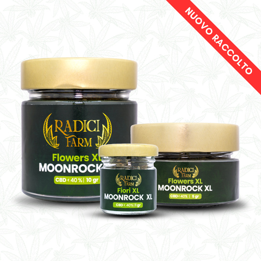 Fiori di Moonrock Ice - cannabis light legale