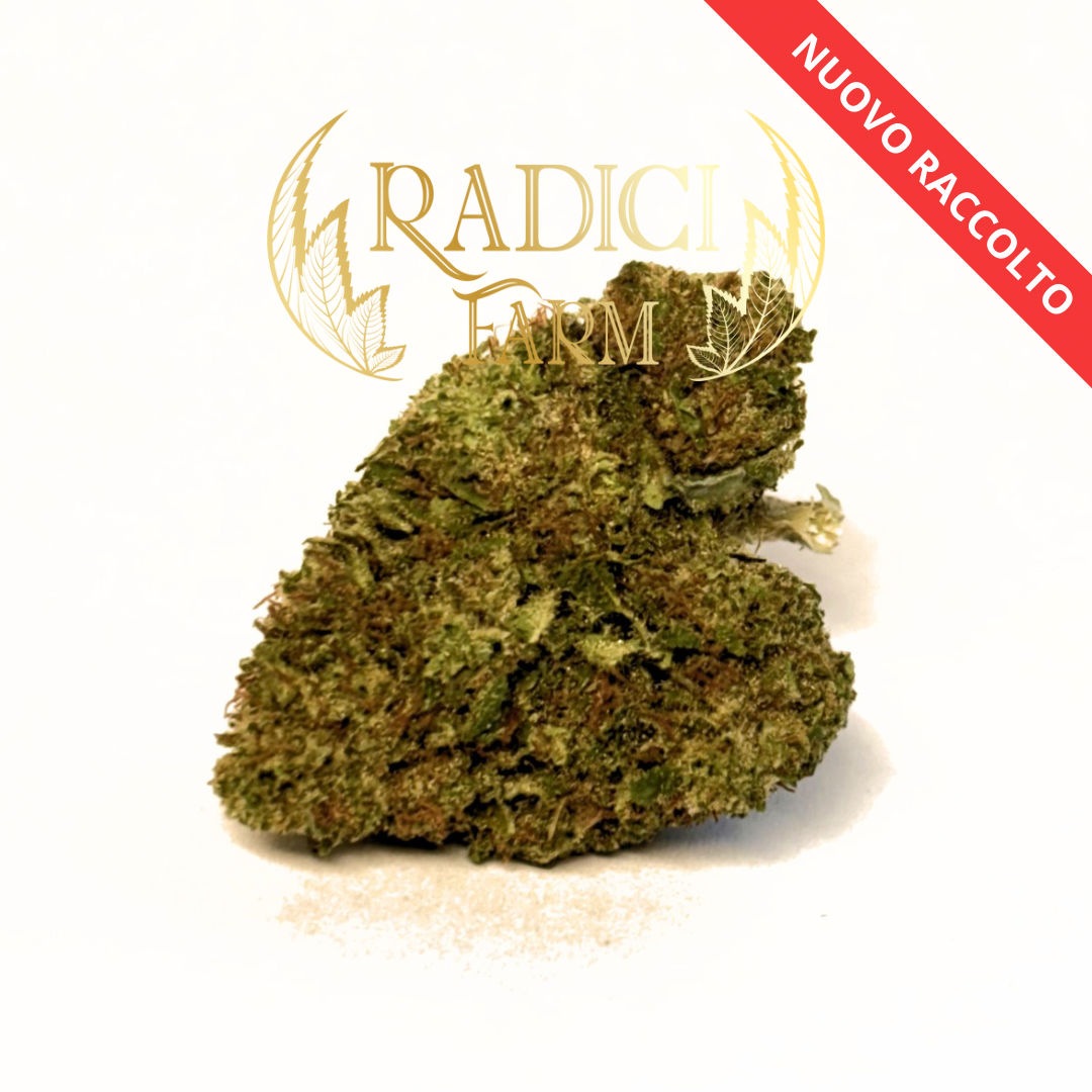 10 Gr Cheese Glasshouse - Cannabis Light - Radici Farm