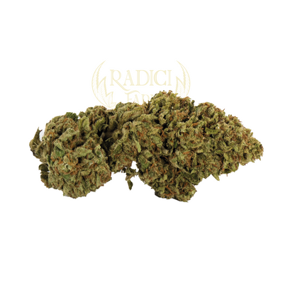 Fiori di Banana Amnesia XL - cannabis light legale