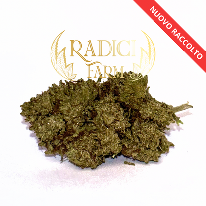 50 GR. SUPER SKUNK XL (CBD<35%) - Radici Farm