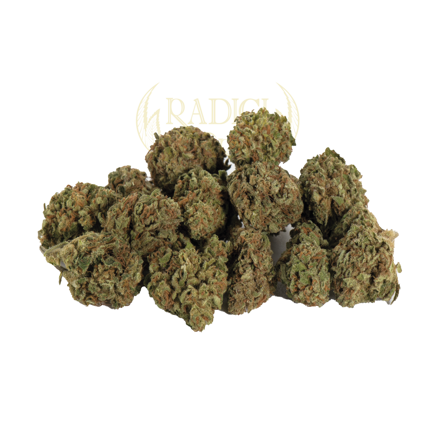 mini buds cannabis light