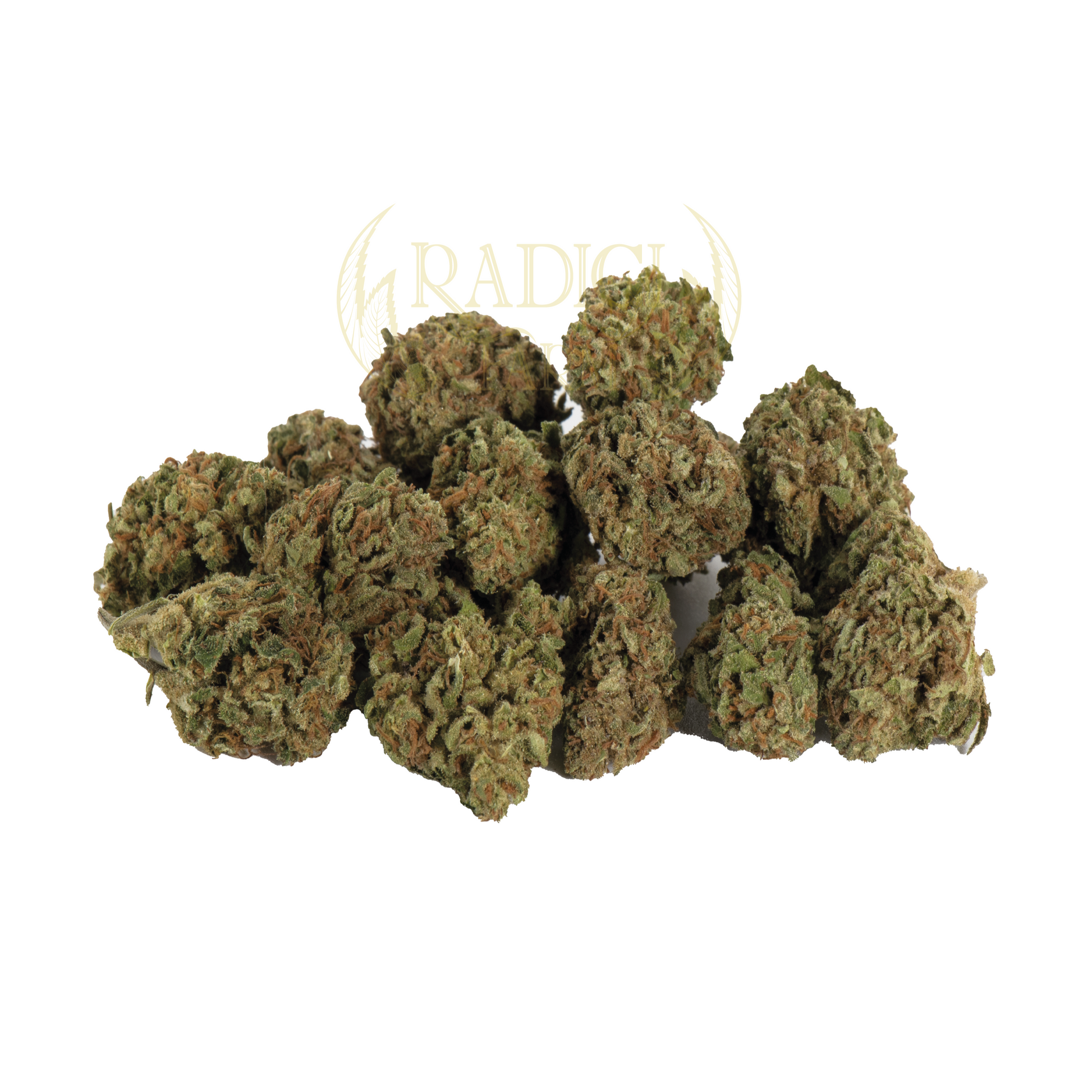 mini buds cannabis light