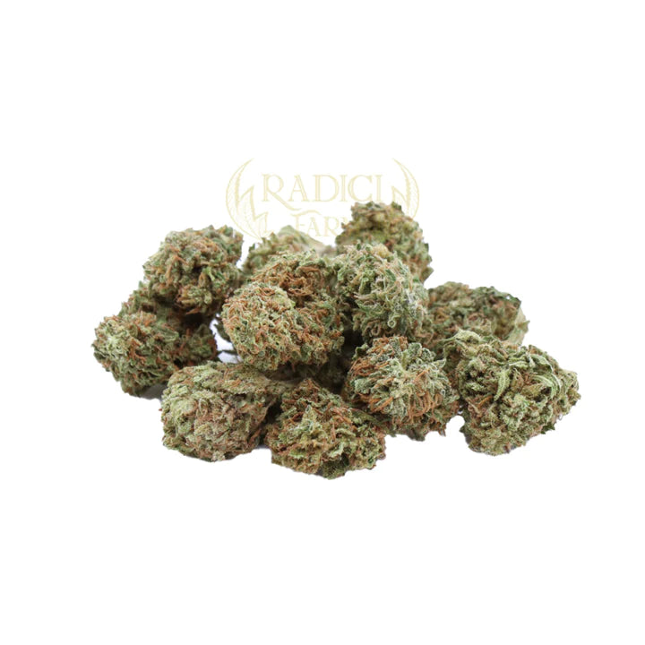 30 GR. MINI AMNESIA (CBD<35%) - Radici Farm