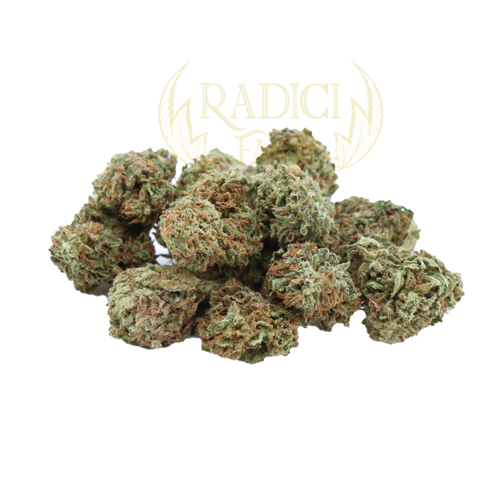 Mini Buds Cannabis light
