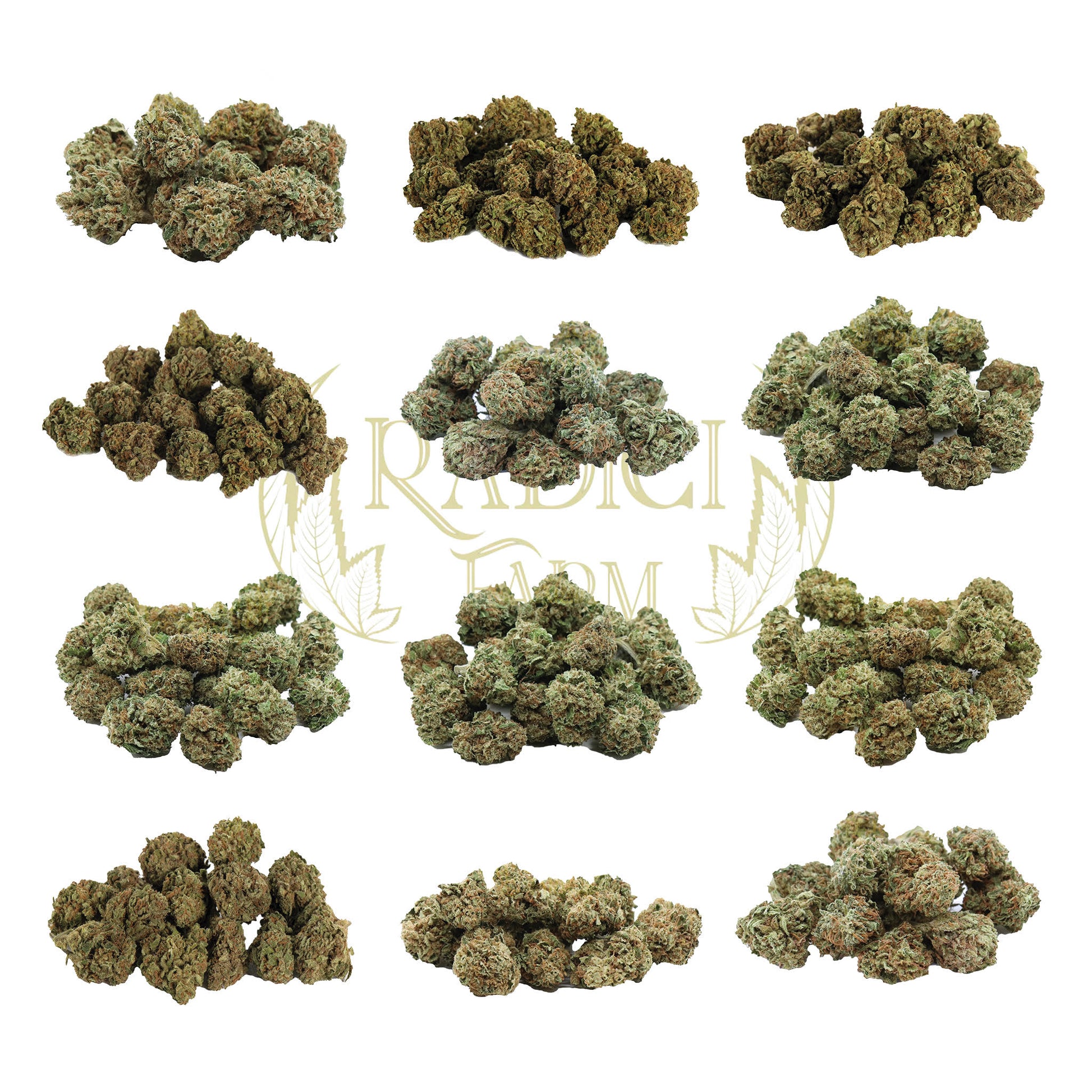 mini buds cannabis light