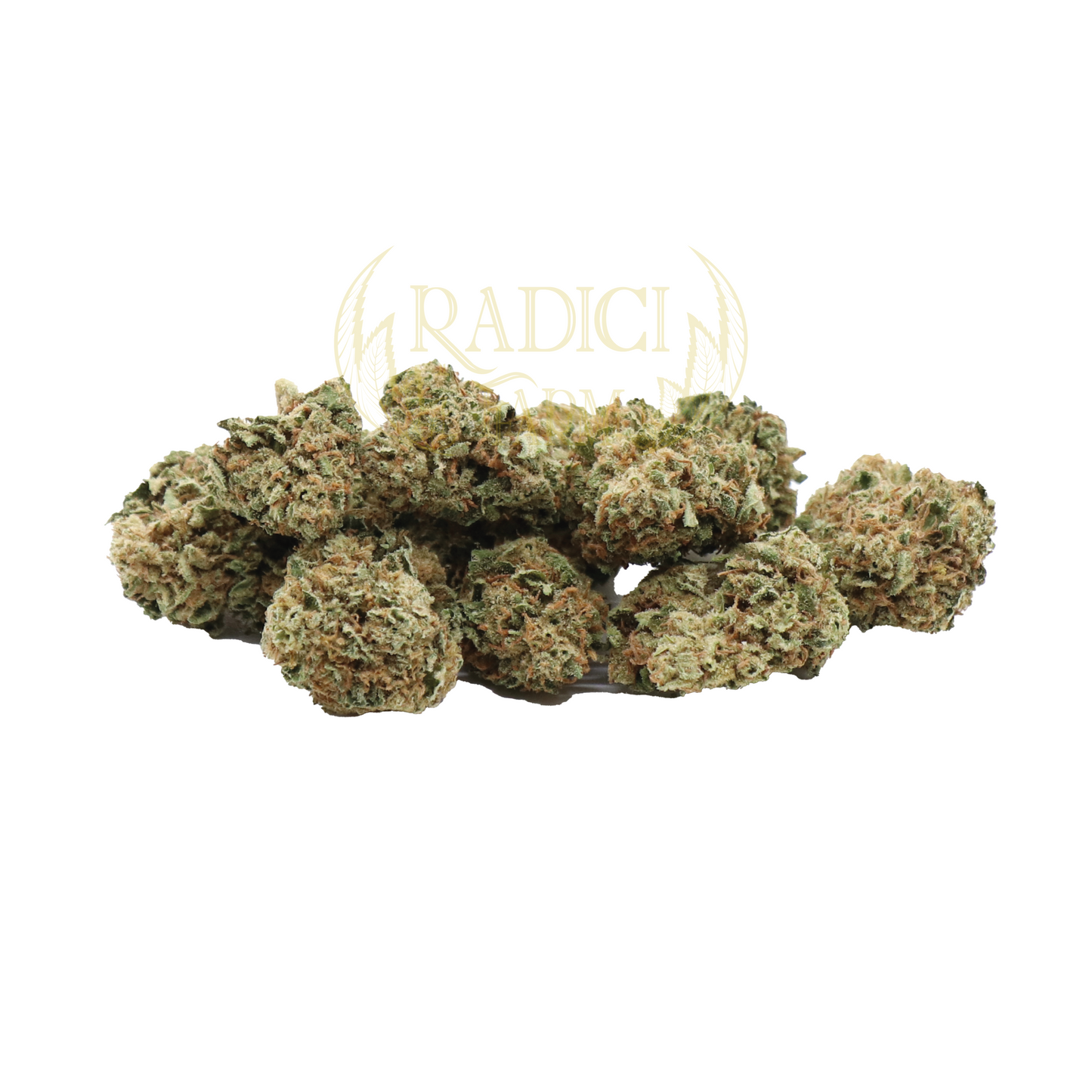 Mini Buds Cannabis light