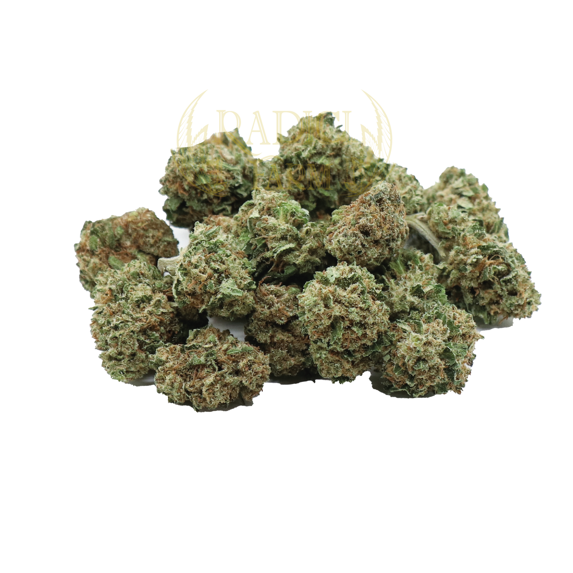 mini buds cannabis light