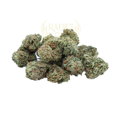 100 Gr Mini Buds OG Kush - Cannabis Light - Radici Farm