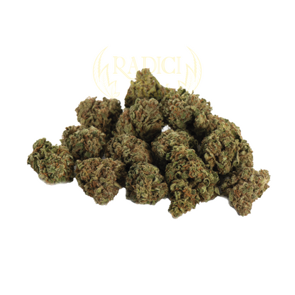 Mini Orange Buds - Cannabis Light - Radici Farm
