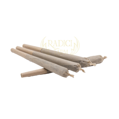 PRE-ROLLED AMNESIA HAZE (CBD<35%) - Radici Farm