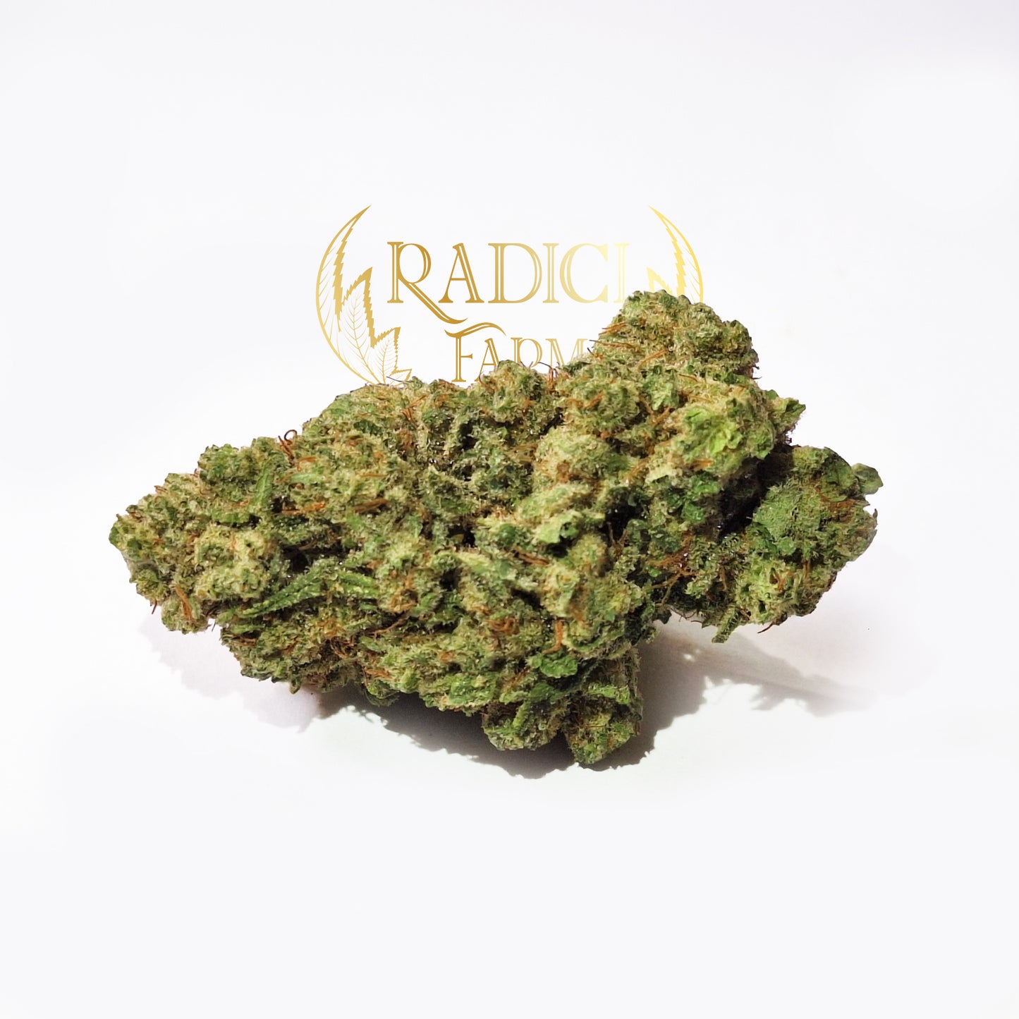 50 GR ZKITTLEZ AMNESIA XL (CBD<35%) - Radici Farm