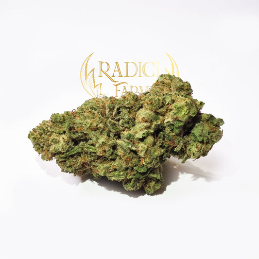 50 GR ZKITTLEZ AMNESIA XL (CBD<35%) - Radici Farm