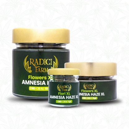 5 GR. AMNESIA HAZE XL (CBD<35%) - Radici Farm