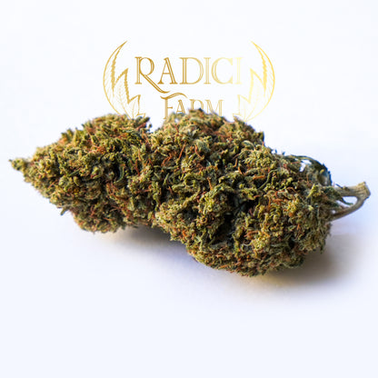 50 gr Gelato Cookie - Cannabis Light